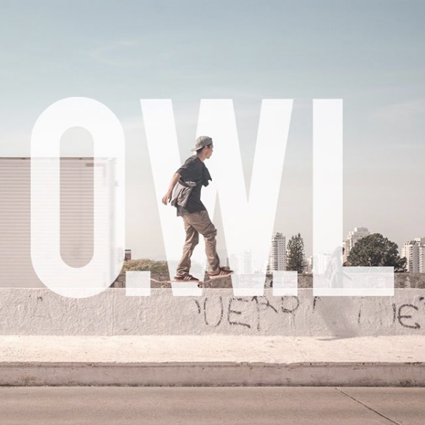 instagram owl store