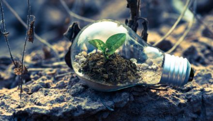 Consumo consciente: o que é e como impacta suas vendas Consumo consciente: o que é e como impacta suas vendas