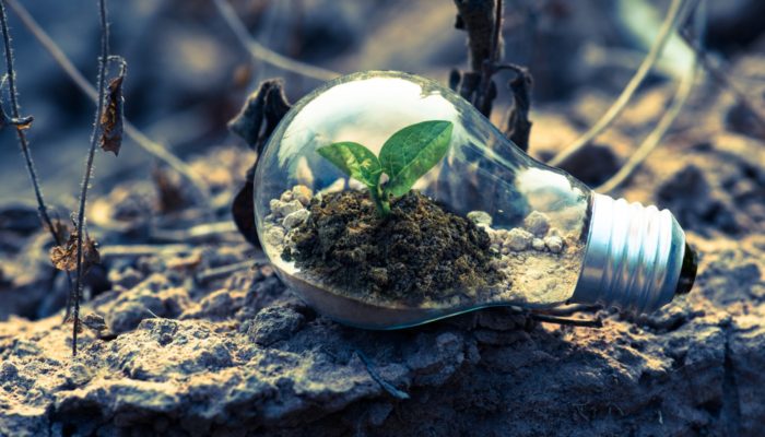 Consumo consciente: o que é e como impacta suas vendas Consumo consciente: o que é e como impacta suas vendas