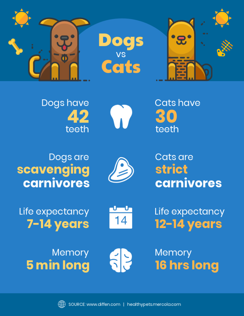infográfico comparativo de cachorros e gatos