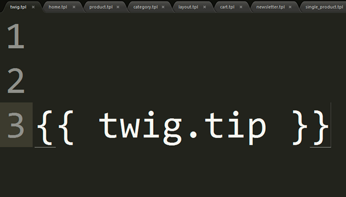 O que são as sintaxes do Twig? O que são as sintaxes do Twig?