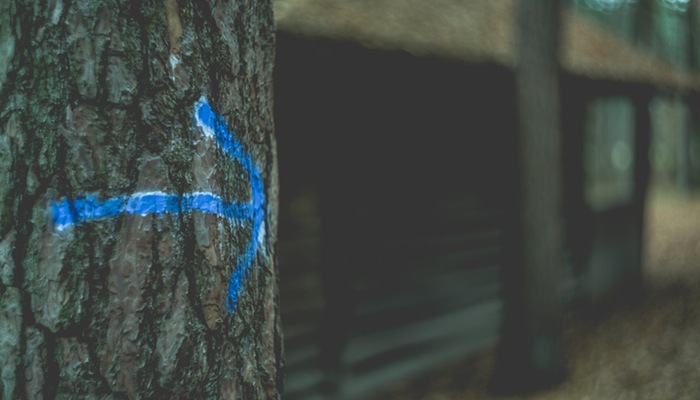 Loja física ou virtual? Saiba o que é mais indicado para o perfil do seu negócio Seta azul desenhada em tronco de árvore representa a dúvida entre loja física ou virtual