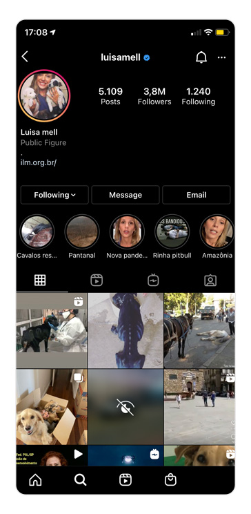 Perfil no Instagram da influenciadora digital Luisa Mell.