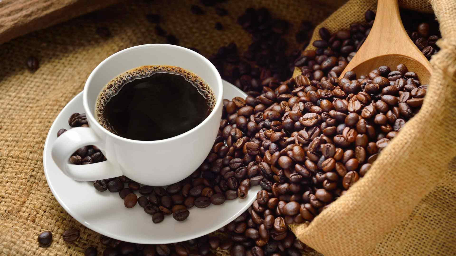 20 proveedores de café en México para iniciar tu negocio