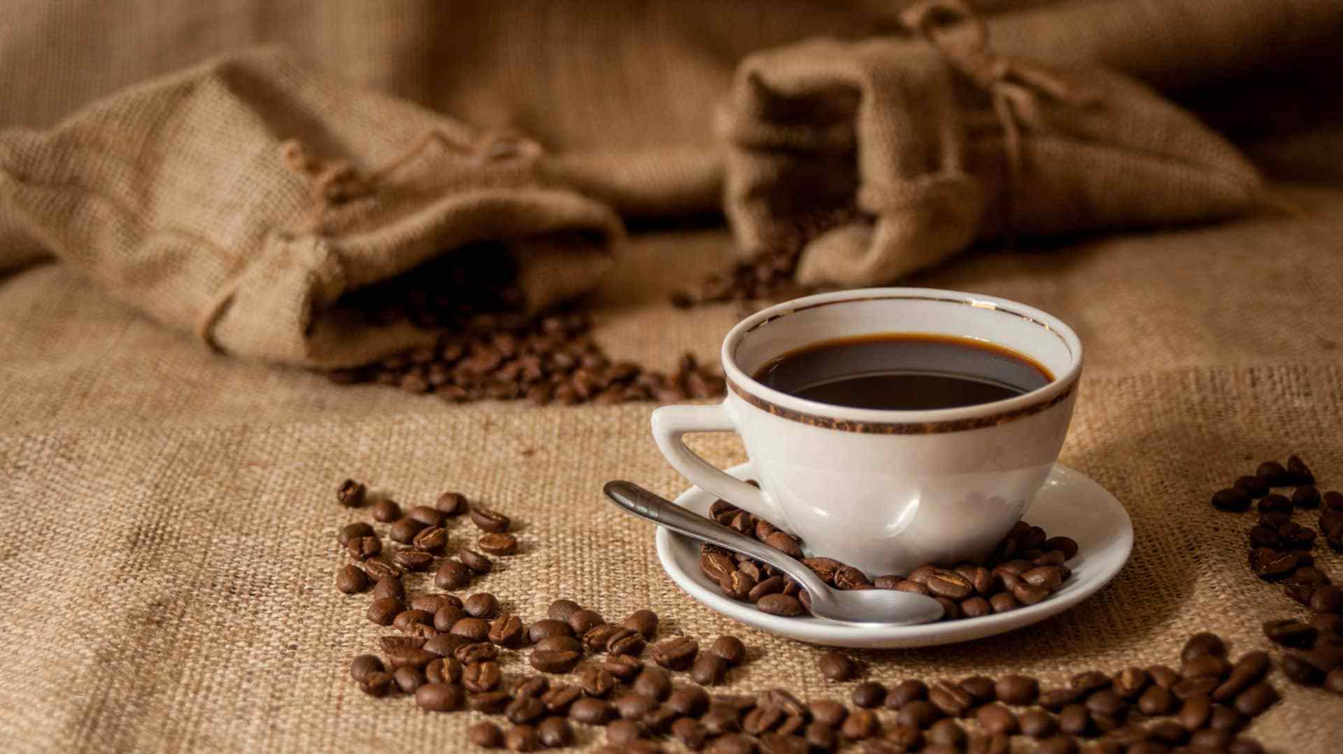 20 proveedores de café en México para iniciar tu negocio