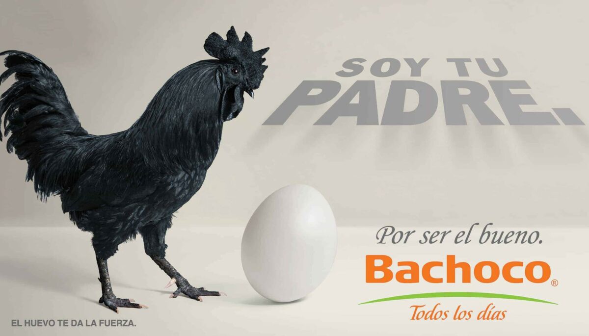 estrategias de branding con anuncio de Bachoco