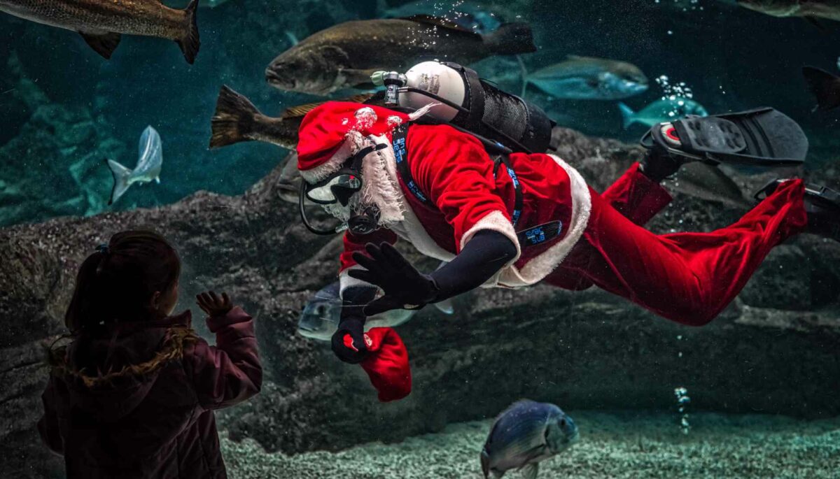 Santa Claus bucea en un tanque como ejemplo de marketing navideño