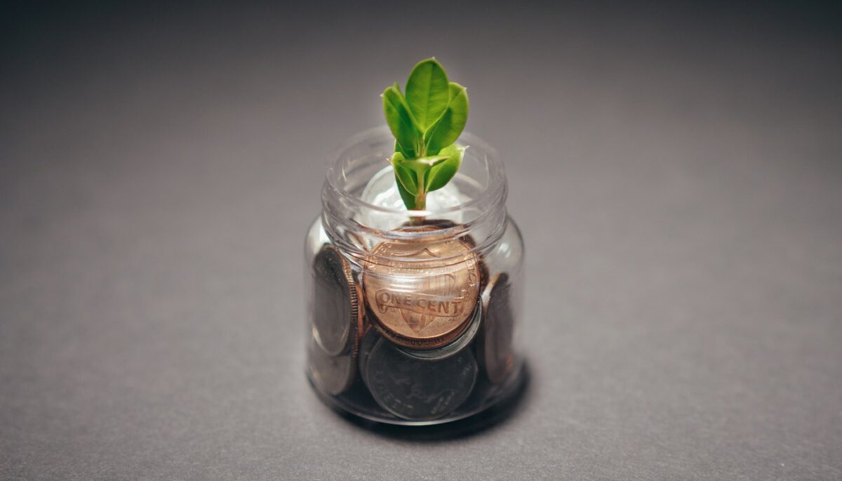 Imagem de um pote com moedas e uma planta representando a contabilidade ambiental