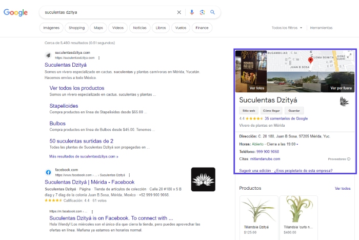 ejemplo de cómo se ve la publicidad en Google gratis en su buscador