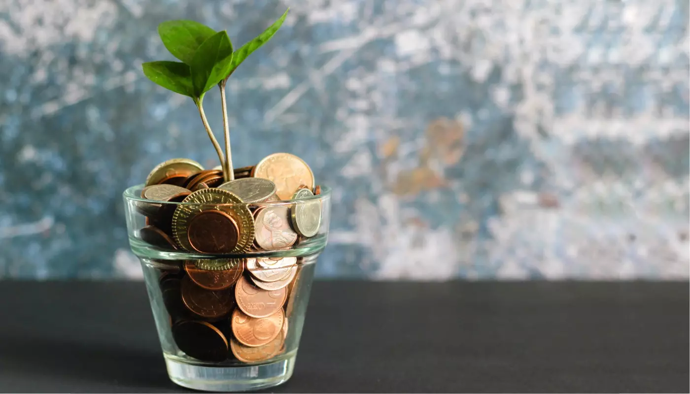Vaso cheio de moedas, com uma planta, representando formas de ganhar uma renda extra