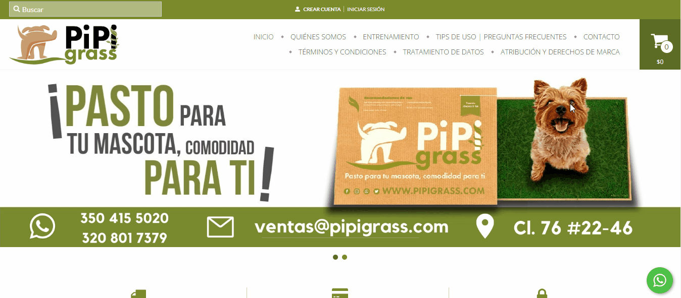 Página web de Pipigrass