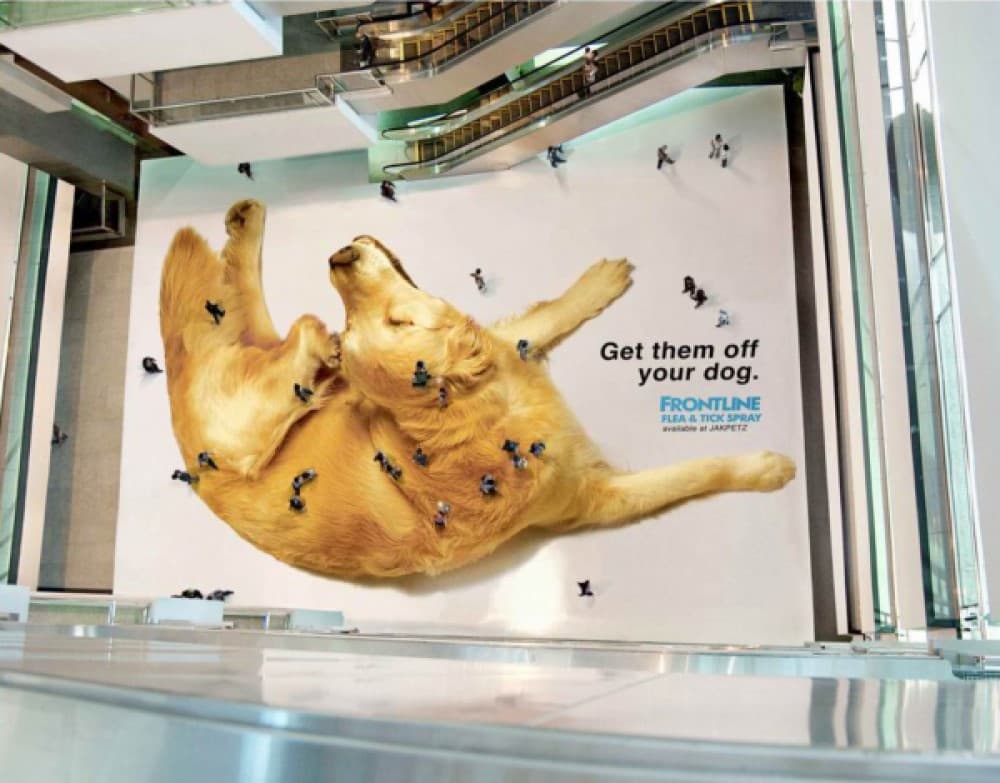 Ejemplo de comunicación visual en una publicidad creativa con un perro sobre el suelo de un shopping.