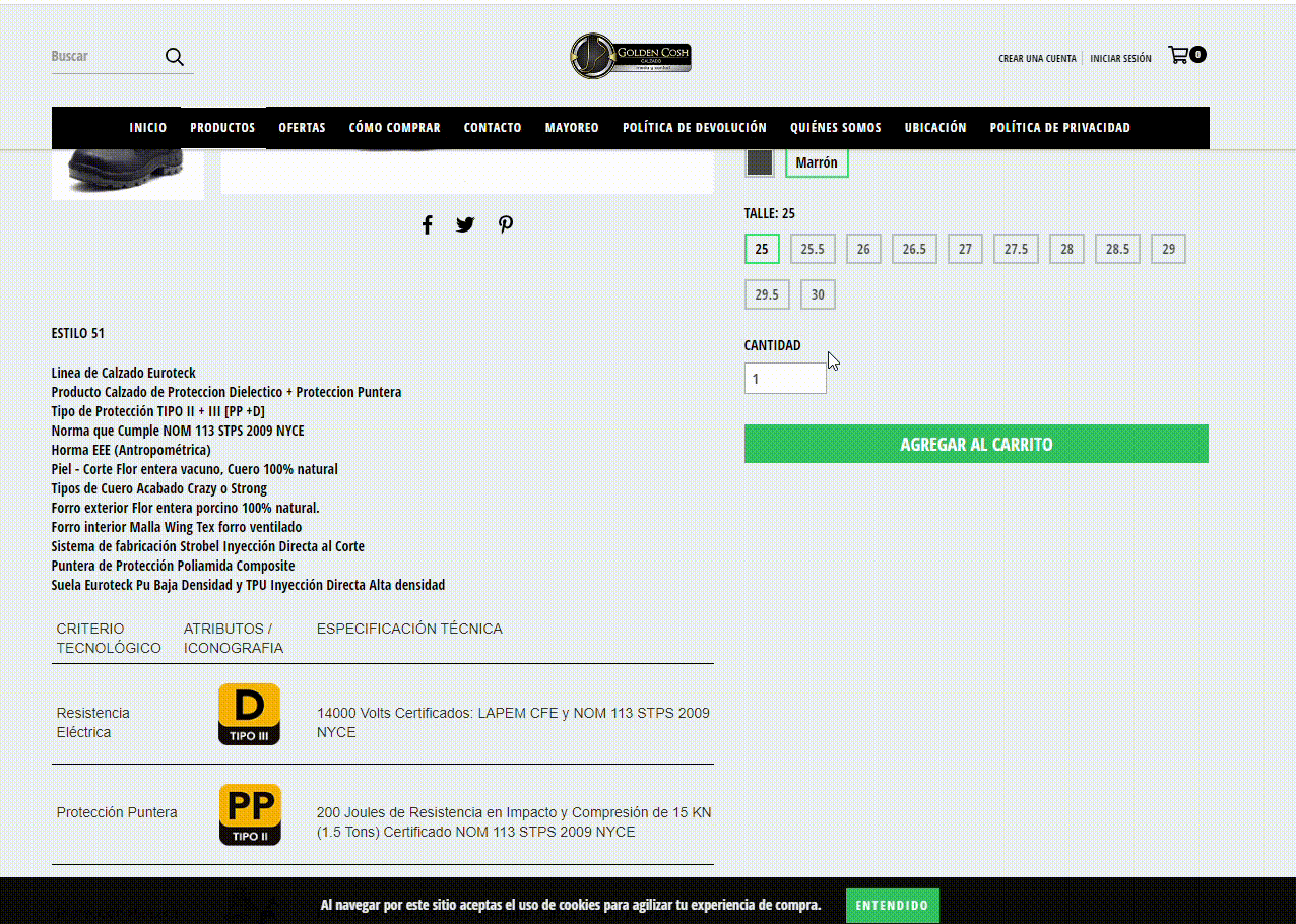 e-commerce ejemplo de empresa Golden Cosh