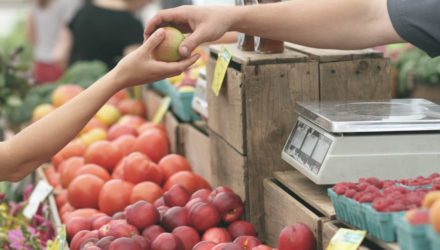 Imagen adjunta: Conoce las mipymes y su importancia en la economía de Latinoamérica