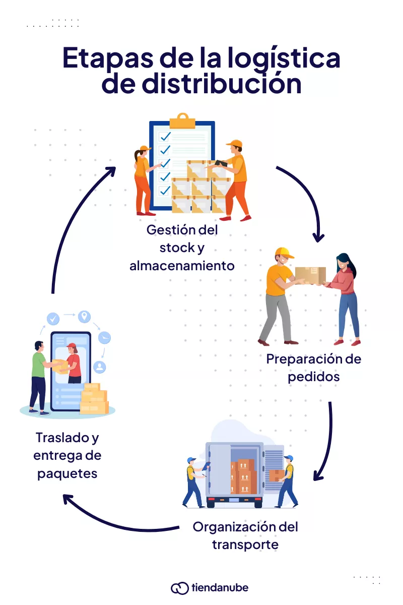 Etapas de la logística de distribución: gestión de stock, preparación de pedidos, organización del transporte y entrega de paquetes.