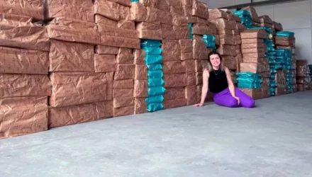 Imagem ilustrativa de: Como a Not-Me Shoes faturou R$ 10 milhões em um ano vendendo calçados