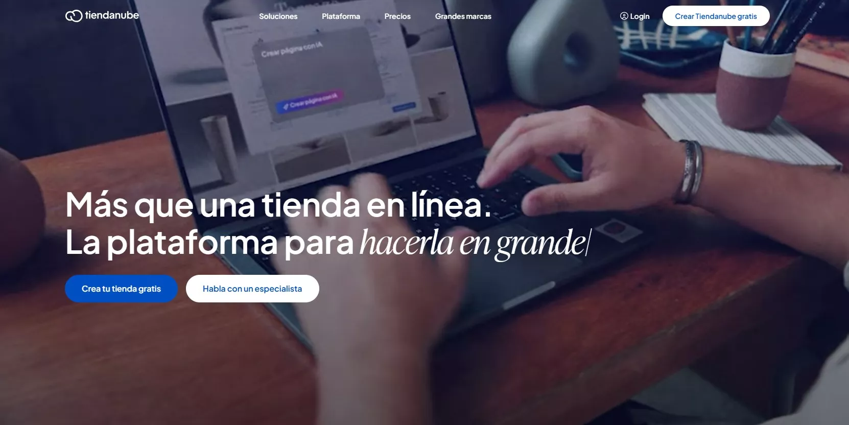 Tiendanube, ejemplo de b2b